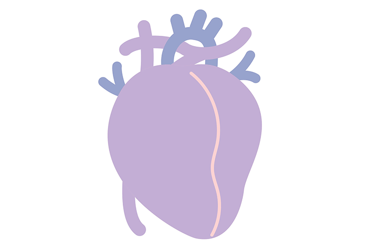 心不全イメージ画像